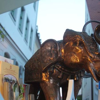 indisches-restaurant-meissen-fuchshoehl.jpg